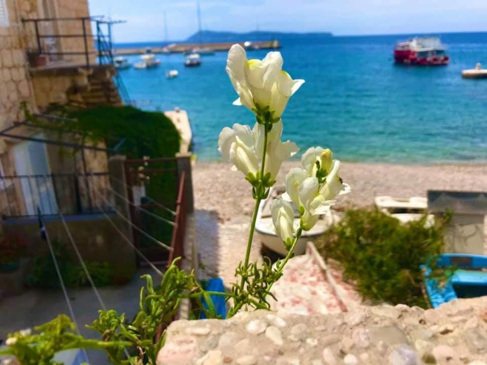 Zanicovo Beach Apartment Komiža Dış mekan fotoğraf